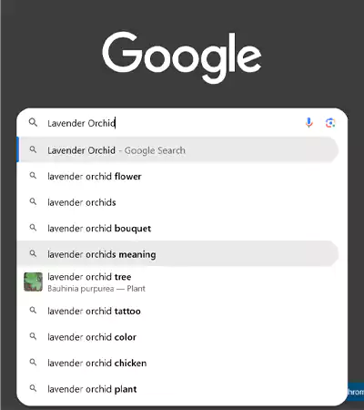 Lavender-Orchids-Keyword