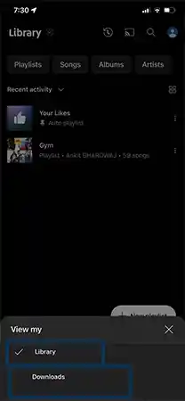 Tap-Library-and-then-choose-Downloads-from-the-pop-up-menu