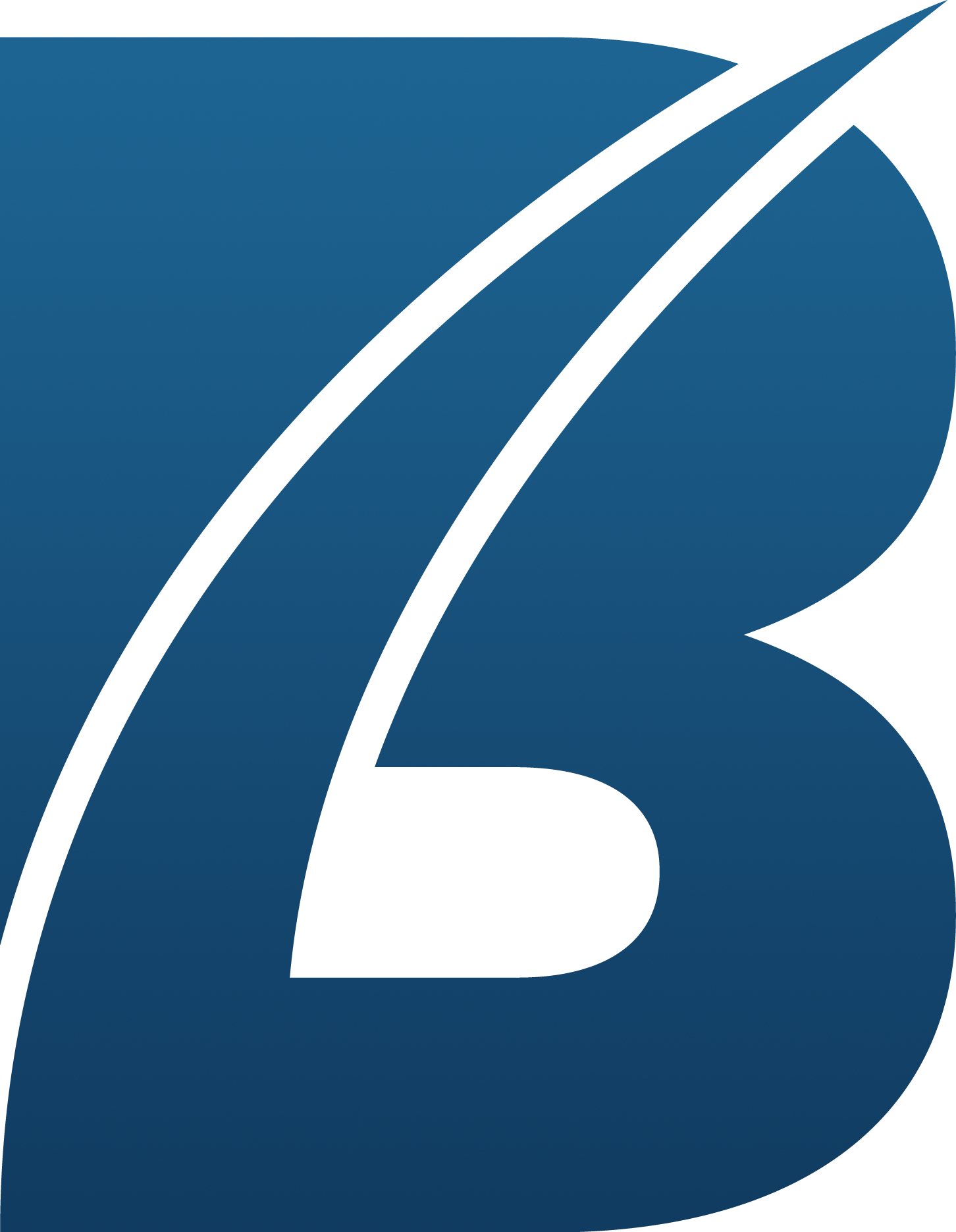 Battersea Web Expert company logo