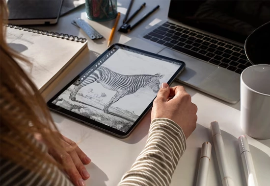 Wireframing & Mockups